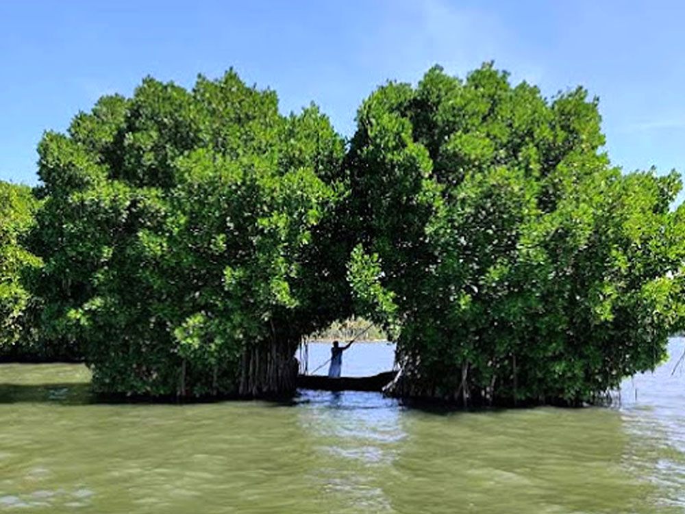 images of munroe island 