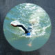 swimming for health and adventure available in munroe island